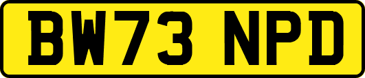 BW73NPD