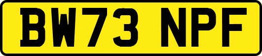 BW73NPF