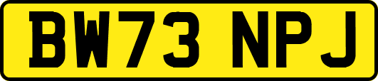 BW73NPJ
