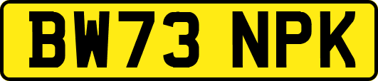 BW73NPK