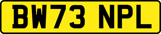 BW73NPL