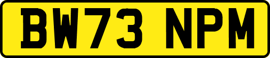 BW73NPM