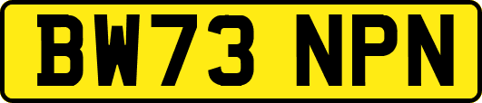 BW73NPN