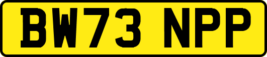 BW73NPP
