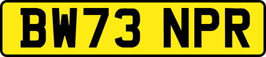 BW73NPR