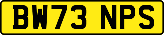 BW73NPS