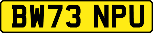 BW73NPU