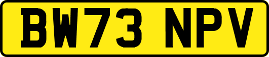 BW73NPV