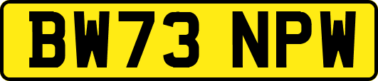 BW73NPW