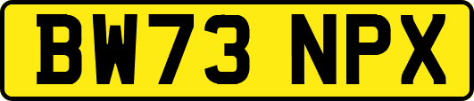 BW73NPX