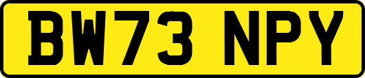 BW73NPY