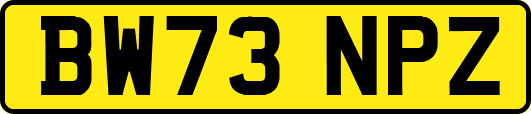 BW73NPZ