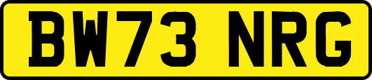 BW73NRG