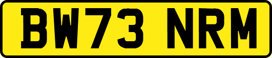 BW73NRM