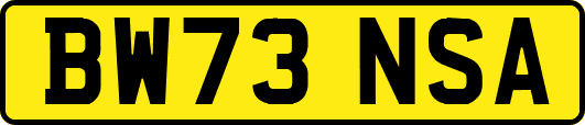 BW73NSA