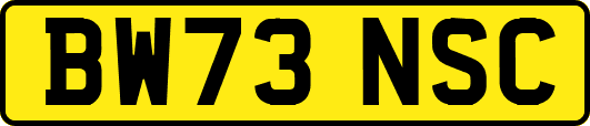 BW73NSC
