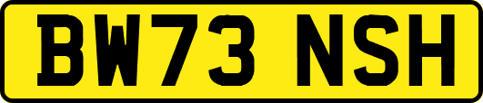 BW73NSH