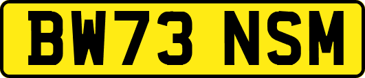BW73NSM