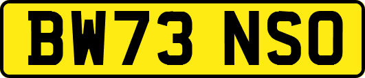 BW73NSO