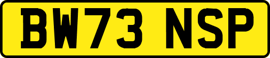 BW73NSP