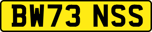 BW73NSS