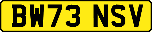 BW73NSV