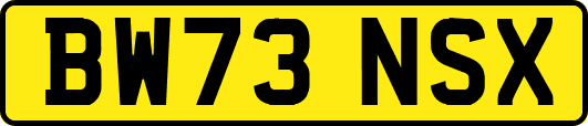 BW73NSX