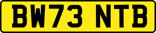 BW73NTB