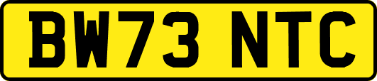 BW73NTC