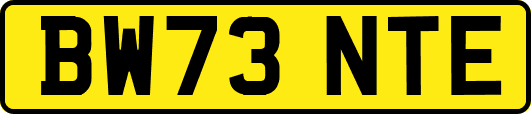 BW73NTE