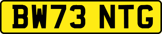 BW73NTG