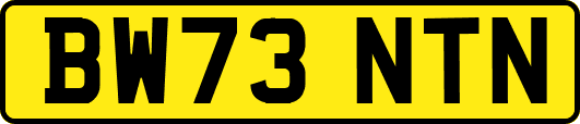 BW73NTN