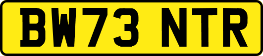 BW73NTR