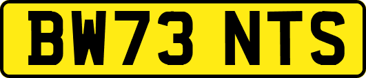 BW73NTS