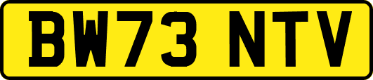 BW73NTV