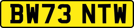 BW73NTW