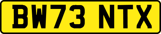 BW73NTX