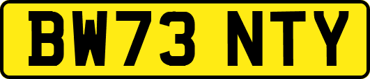 BW73NTY