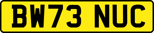 BW73NUC