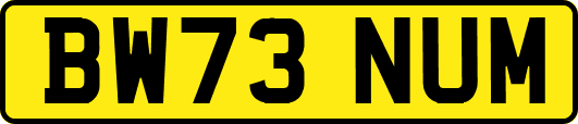 BW73NUM