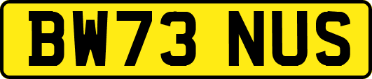 BW73NUS