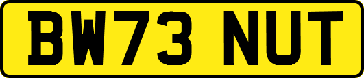BW73NUT