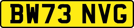 BW73NVG