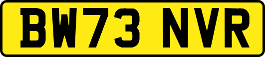 BW73NVR