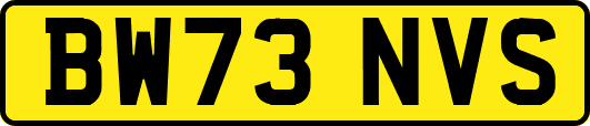 BW73NVS