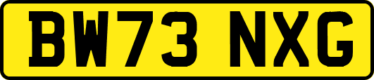 BW73NXG