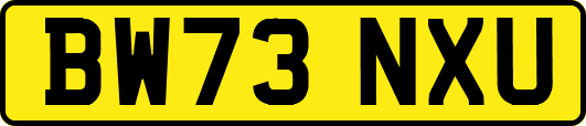 BW73NXU