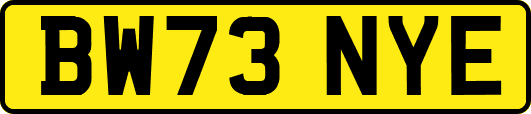 BW73NYE