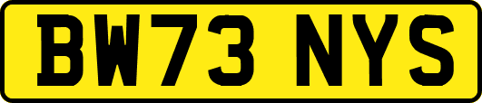 BW73NYS