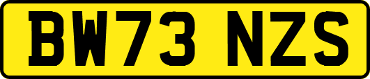 BW73NZS